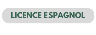 Licence LLCER ESPAGNOL