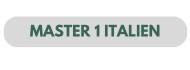 MASTER 1 LLCER ITALIEN