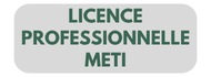 LP METI
